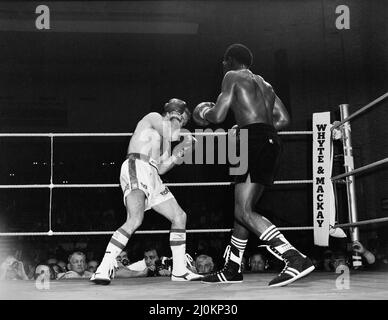 Maurice Hope / Rocky Mattioli (Neuverfilz). WBC World Super Welterweight Titel im Konferenzzentrum, Wembley, London, Großbritannien. Hoffnung, die TKO in Runde 11 gewonnen hat.(Bild) Kampfaktion. 12.. Juli 1980 Stockfoto