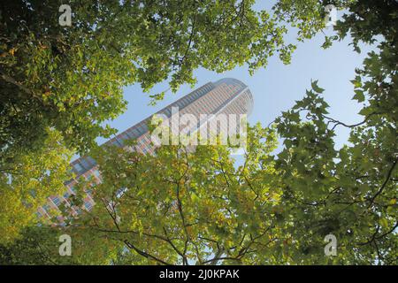 Messeturm 257m in Frankfurt, Hessen, Deutschland Stockfoto