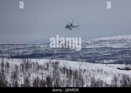 Royal Norwegian Air Force Col. Eirik Stueland fährt mit einem UH-1Y Venom während der Durchführung von Flugmanövern während des Trainings Cold Response 2022, Setermoen, Norwegen, 17. März 2022. Stueland ist der Kommandant des Maritime Helicopter Wings und das UH-1Y Venom wird dem Marine Light Attack Helicopter Squadron 269 zugewiesen. Übung Cold Response '22 ist eine alle zwei Jahre stattfindende norwegische nationale Bereitschafts- und Verteidigungsübung, die in ganz Norwegen stattfindet, an der jeder seiner Militärdienste sowie 26 zusätzliche mit der Nordatlantischen Vertragsorganisation verbundene Nationen und regionale Partner teilnehmen Stockfoto