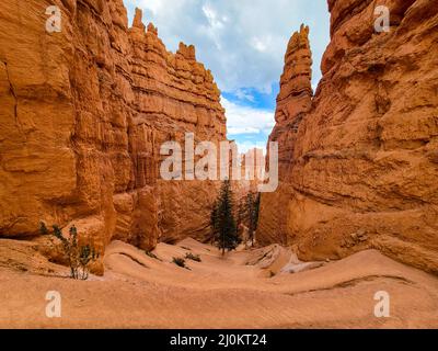 Bryce Canyon National Park Wall Street Abschnitt des Peekaboo Wanderweges Stockfoto