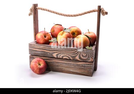 Äpfel in einer Holzkiste auf weißem Hintergrund mit weichem Schatten Stockfoto