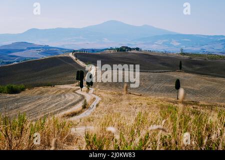 San Quirico d'Orcia Podere Belvedere Villa in der Region Val d'Orcia in der Toskana, Italien Mann und Frau mittleren Alters besuchen Region Toscany Stockfoto