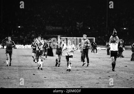 England gegen Ungarn, Endstand 1-0 gegen England. Fußball-Weltmeisterschaft der Gruppe 4. Wembley Stadium, 18.. November 1981. Stockfoto