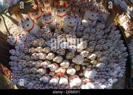 Das Bild wird einlädt (Tokyo Gotokuji) Stockfoto