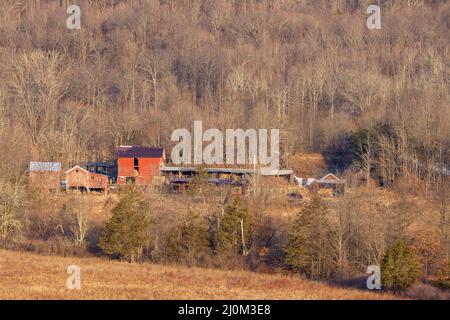 Großes Landgut inmitten von Winterbäumen Stockfoto