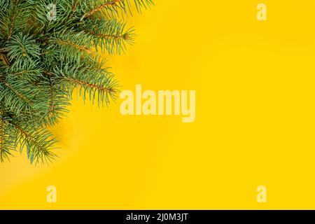 Tannenzweige Grenzen im Hintergrund, gut für weihnachten Hintergrund Stockfoto