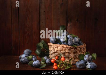 Pflaume in einem Korb und ein Zweig aus wilder Rose auf einem dunklen Holzhintergrund in einem rustikalen Stil Stockfoto