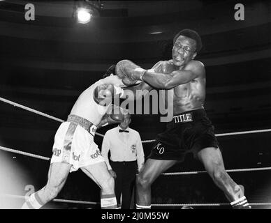 Maurice Hope / Rocky Mattioli (Neuverfilz). WBC World Super Welterweight Titel im Konferenzzentrum, Wembley, London, Großbritannien. Hoffnung, die TKO in Runde 11 gewonnen hat.(Bild) Kampfaktion. 12.. Juli 1980 Stockfoto