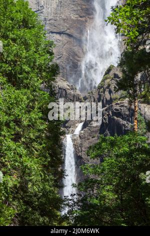 Yosemite Wasserfälle an einem schönen Sommertag Stockfoto