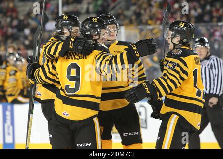 Hamilton Ontario Canada, OHL Outdoor Showcase 2022 im Tim Hortons Field. Hamiton besiegt Oshawa 3-0. (Nur für redaktionelle Zwecke) Luke Durda/Alamy Stockfoto