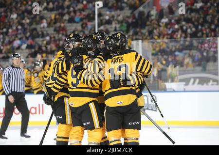 Hamilton Ontario Canada, OHL Outdoor Showcase 2022 im Tim Hortons Field. Hamiton besiegt Oshawa 3-0. (Nur für redaktionelle Zwecke) Luke Durda/Alamy Stockfoto