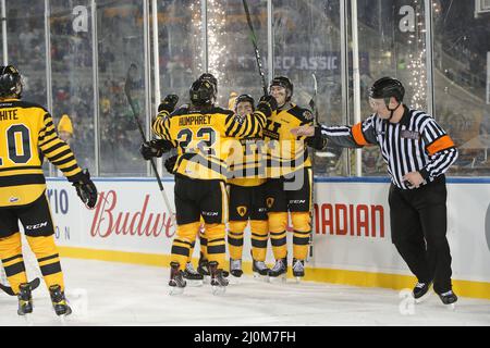 Hamilton Ontario Canada, OHL Outdoor Showcase 2022 im Tim Hortons Field. Hamiton besiegt Oshawa 3-0. (Nur für redaktionelle Zwecke) Luke Durda/Alamy Stockfoto