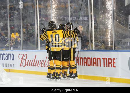 Hamilton Ontario Canada, OHL Outdoor Showcase 2022 im Tim Hortons Field. Hamiton besiegt Oshawa 3-0. (Nur für redaktionelle Zwecke) Luke Durda/Alamy Stockfoto