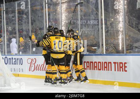 Hamilton Ontario Canada, OHL Outdoor Showcase 2022 im Tim Hortons Field. Hamiton besiegt Oshawa 3-0. (Nur für redaktionelle Zwecke) Luke Durda/Alamy Stockfoto