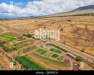 Luftaufnahme der trockenen Landschaft und der Berge an der Westküste von Maui. Hawaii Stockfoto