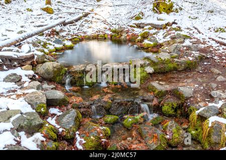 Farn Spring im Yosemite National Park Stockfoto