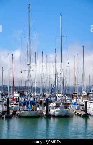 SAUSALITO, KALIFORNIEN, USA - AUGUST 6 : Boote in der Marina von Sausalito, Kalifornien, USA am 6. August 2011 Stockfoto