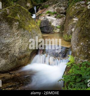 Kleiner Wasserfall an einer Schlucht bei Bad Kreuzen oberösterreich Stockfoto