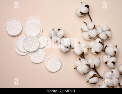 Weiße Watteschwämme auf beigem Hintergrund. Design für die Kosmetik-, Medizin- und Kosmetikindustrie Stockfoto