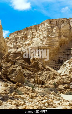 Das ein Avdat in der Negev-Wüste Stockfoto