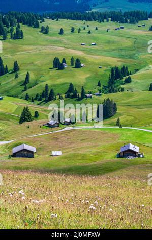 Berghütte auf der Seiser Alm Stockfoto