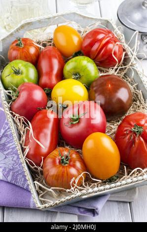 Tomaten Stockfoto