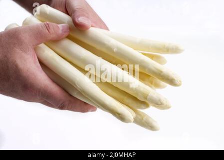 Frischer weißer Spargel angeboten als close-up in den Händen eines Mannes â € "bedeckt auf weißem Hintergrund Stockfoto