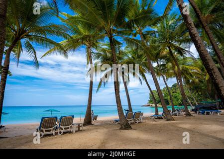 Surin Strand in Phuket, südlich von Thailand, Surin Strand ist ein sehr berühmtes Touristenziel in Phuket, schöner Strand, Aussicht o Stockfoto