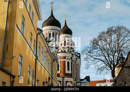 Tallin Altstadt. Alexander-Newski-Kathedrale.Tallin die Hauptstadt von Estland. Baltische Staaten. Europa. Stockfoto