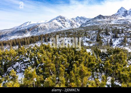 Tatra-Berge im Winter. Blick auf die weißen schneebedeckten Gipfel, frostige Winterberge.Tatra-Gebirge in Polen, in der Nähe von Zakopane, Europa. Stockfoto