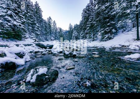 Tatra-Berge im Winter. Blick auf die weißen schneebedeckten Gipfel, frostige Winterberge. Kasprowy Wierch, Hohe Tatra, Polen, Europa. Stockfoto