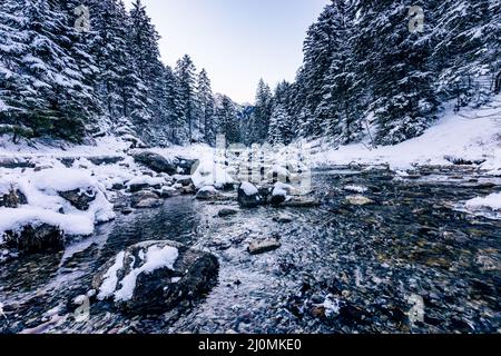 Tatra-Berge im Winter. Blick auf die weißen schneebedeckten Gipfel, frostige Winterberge. Kasprowy Wierch, Hohe Tatra, Polen, Europa. Stockfoto