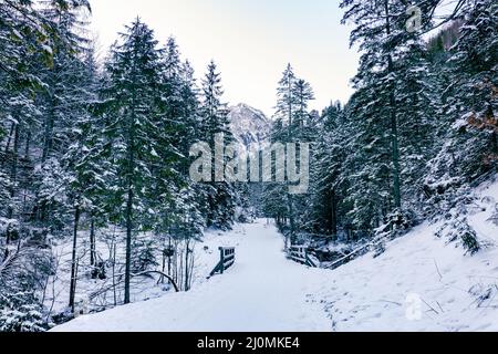 Tatra-Berge im Winter. Blick auf die weißen schneebedeckten Gipfel, frostige Winterberge. Kasprowy Wierch, Hohe Tatra, Polen, Europa. Stockfoto