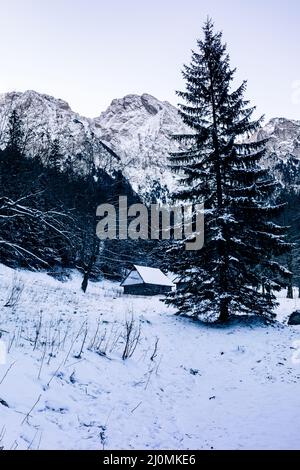 Tatra-Berge im Winter. Blick auf die weißen schneebedeckten Gipfel, frostige Winterberge. Kasprowy Wierch, Hohe Tatra, Polen, Europa. Stockfoto