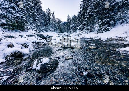 Tatra-Berge im Winter. Blick auf die weißen schneebedeckten Gipfel, frostige Winterberge. Kasprowy Wierch, Hohe Tatra, Polen, Europa. Stockfoto