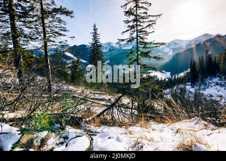 Tatra-Berge im Winter. Blick auf die weißen schneebedeckten Gipfel, frostige Winterberge. Kasprowy Wierch, Hohe Tatra, Polen, Europa. Stockfoto