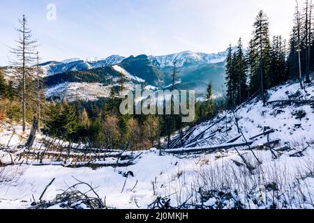 Tatra-Berge im Winter. Blick auf die weißen schneebedeckten Gipfel, frostige Winterberge. Kasprowy Wierch, Hohe Tatra, Polen, Europa. Stockfoto