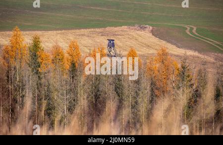 Holz- Jäger Hochsitz, Jagd Turm Stockfoto