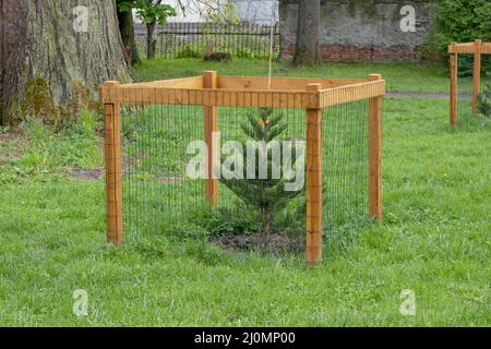 Netzbaummütze schützen jungen Baum vor Schäden durch die Tierwelt. Zaun schützenden Baum im Park. Stockfoto