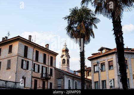 Glockenturm zwischen alten Häusern und Palmen in der Stadt Menaggio. Comer See, Italien Stockfoto