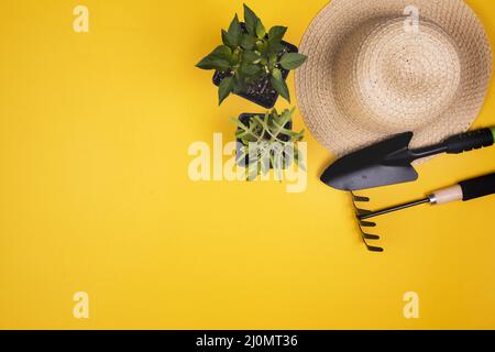 Gartengeräte mit Strohhut kopieren Platz Stockfoto