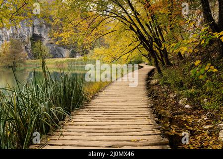 Eine rustikale Holzpromenade, die entlang des Ufers eines malerischen Bergsees mit Bäumen und Laub in intensiven Herbstfarben führt Stockfoto