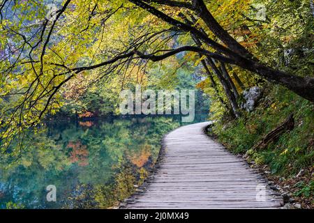 Eine rustikale Holzpromenade, die entlang des Ufers eines malerischen Bergsees mit Bäumen und Laub in intensiven Herbstfarben führt Stockfoto