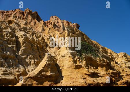 Rote Kliffs in Half Moon Bay, Black Rock, Melbourne, Australien. Blick auf die Klippen über Port Phillip Bay. Stockfoto