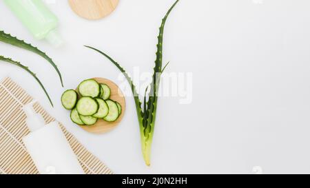 Aloe Vera Gurke mit Schönheitscreme Stockfoto