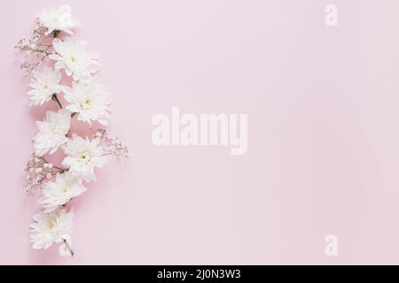 Blumen Hintergrund Stockfoto