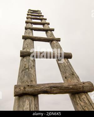 Alte Holzleiter auf der Wiese, die hoch oben in den Himmel führt. Leiter zum Himmel. Symbol der Karriere. Stockfoto