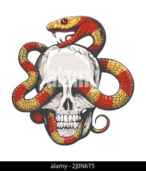 Tattoo of Human Skull und tropische Schlange isoliert auf weißem Hintergrund. vektor-Illustration. Stock Vektor