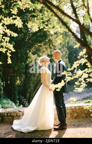 Bräutigam in einem schwarzen Anzug hält die Hände der Braut in einem weißen Kleid, während er auf einem Pfad im grünen Park in der Nähe eines Steinzauns steht Stockfoto