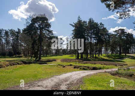 Wentworth Golf Club, Blick auf den exklusiven Golfplatz in Surrey, England, Großbritannien Stockfoto